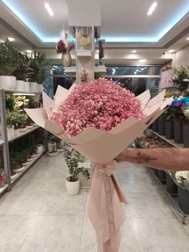 عکس گل فروشی خورشید 