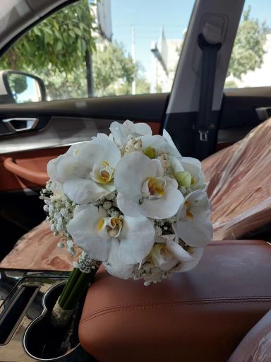 عکس گل فروشی خورشید 