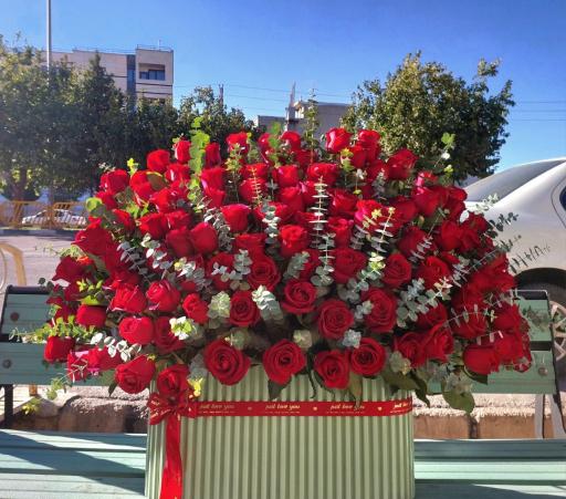 عکس گل فروشی خورشید 