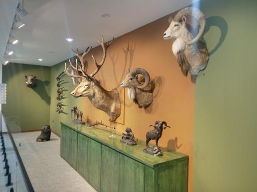 عکس موزه شکار و صید