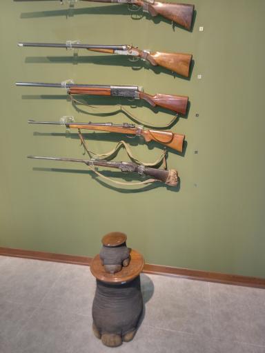 عکس موزه شکار و صید