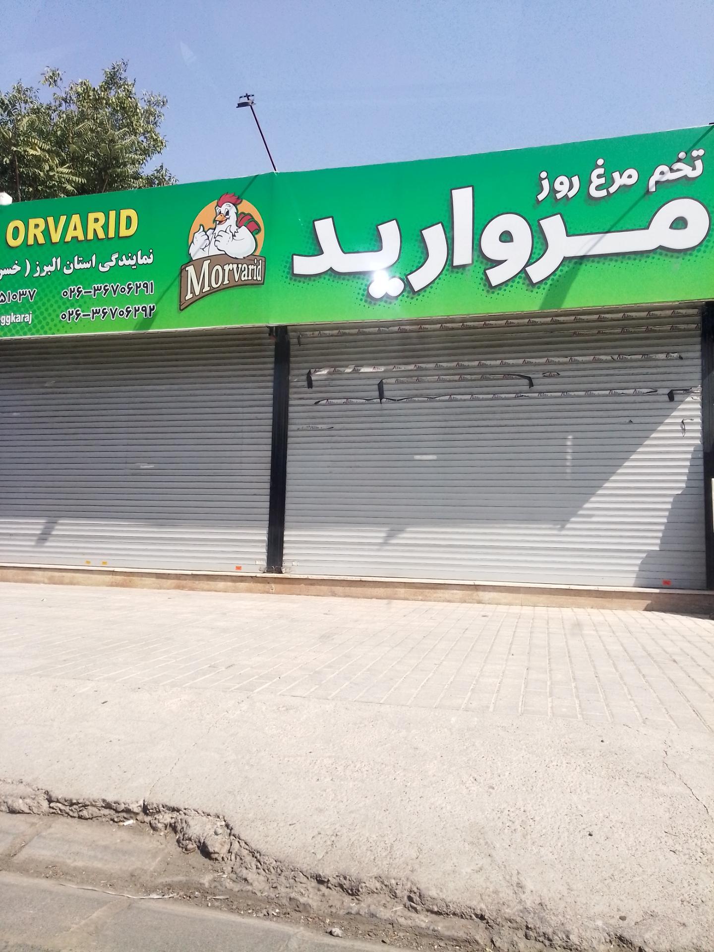 عکس تخم مرغ مروارید