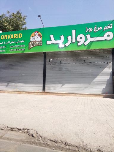 عکس تخم مرغ مروارید