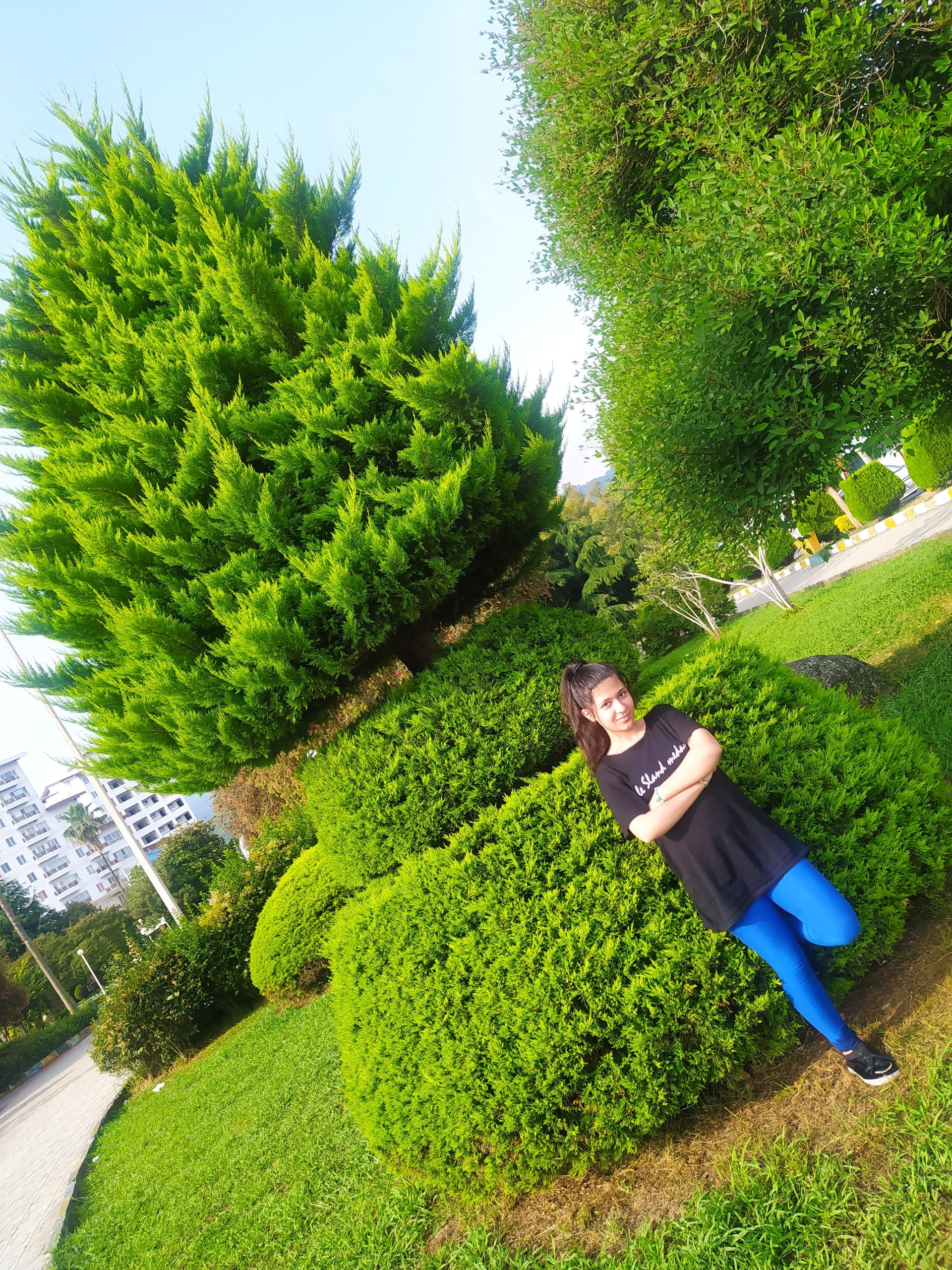 عکس کمپینگ بین المللی چابکسر