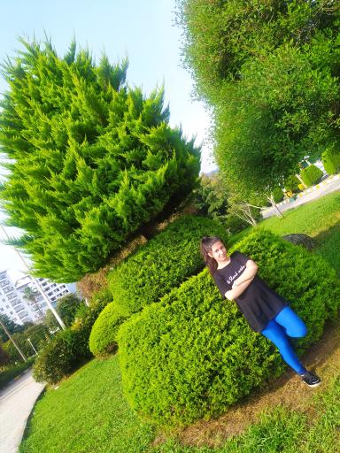 عکس کمپینگ بین المللی چابکسر