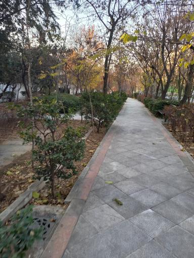 عکس بوستان دستواره