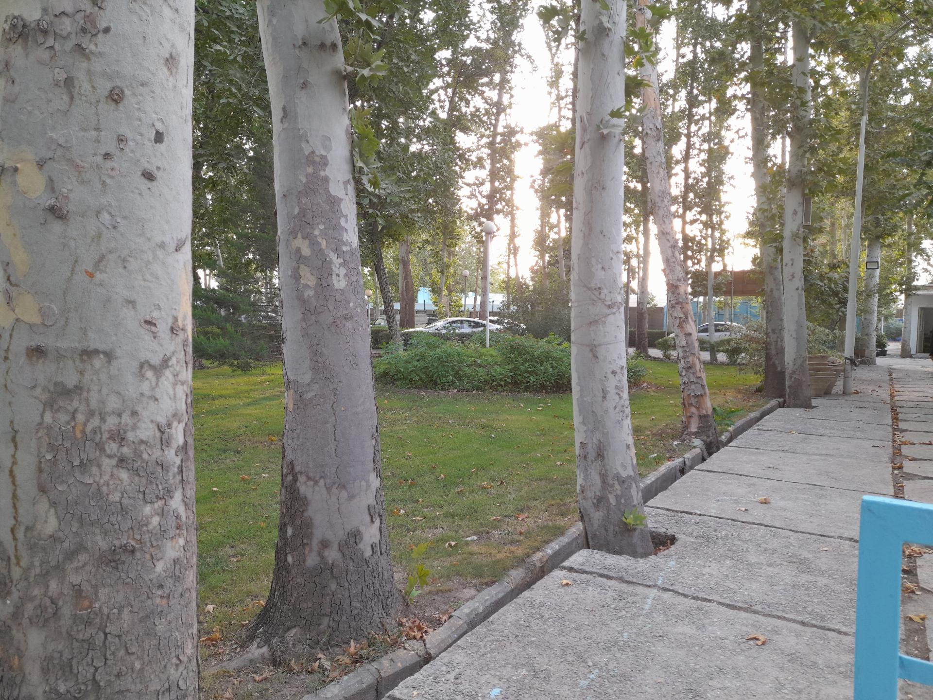 عکس مجموعه فرهنگی ورزشی آلفا