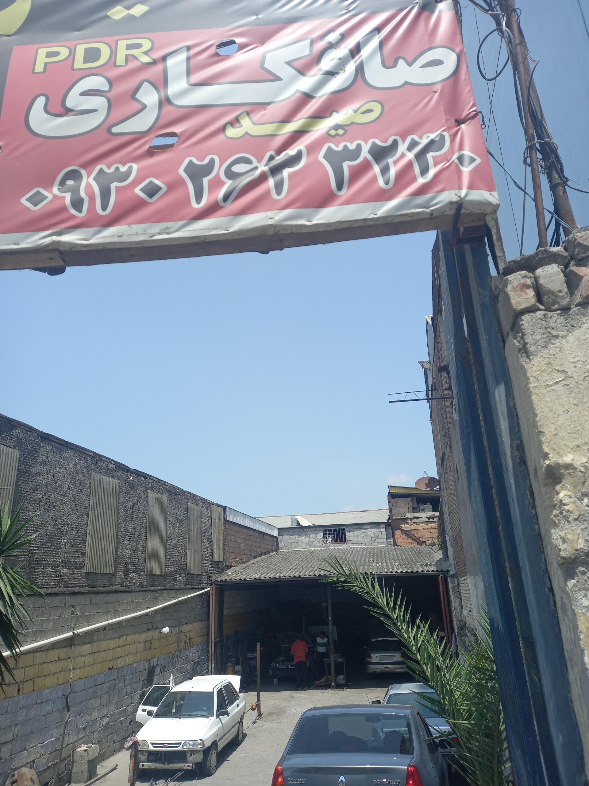 عکس صافکاری صید