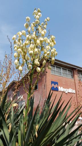 عکس صنایع روشنایی مازی نور