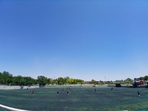 عکس چمن مصنوعی بهار