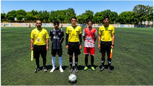 عکس چمن مصنوعی بهار