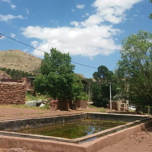 عکس کورتای