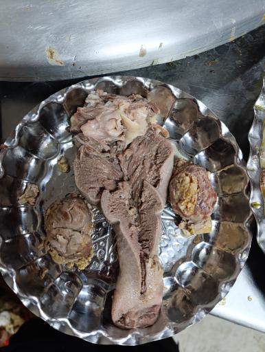 عکس طباخی علیزاده