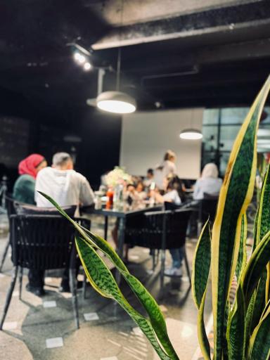 عکس دیزی وری