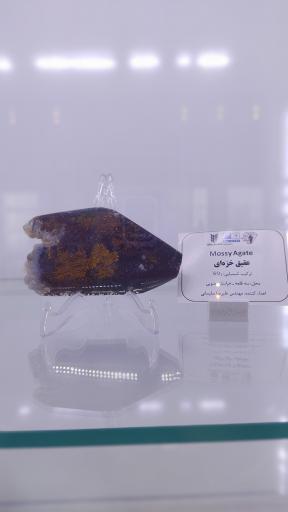 عکس موزه زمین شناسی طبس