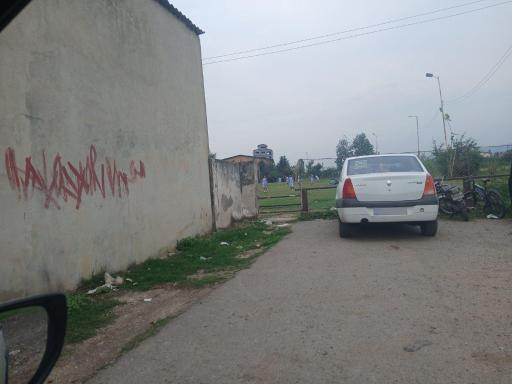 عکس زیمن چمن ارطه