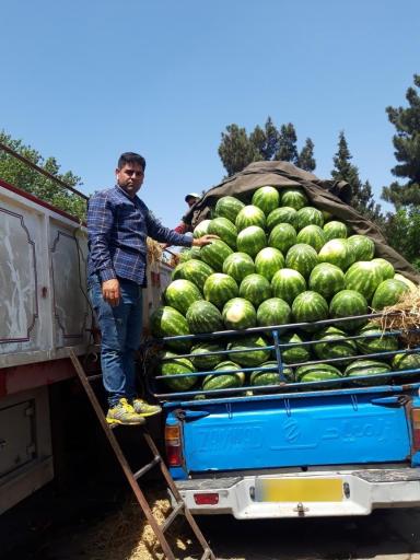 بارفروشی برادران پرسیان ۱۱۶