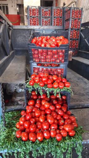 عکس بارفروشی برادران پرسیان ۱۱۶