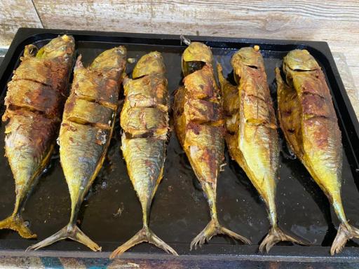 عکس هتل ساحل سرخ