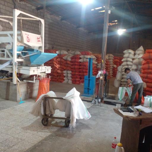 عکس کارخانه شالیکوبی و سورتینگ برادران حجت