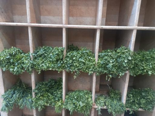 عکس سبزیجات علی آبادی