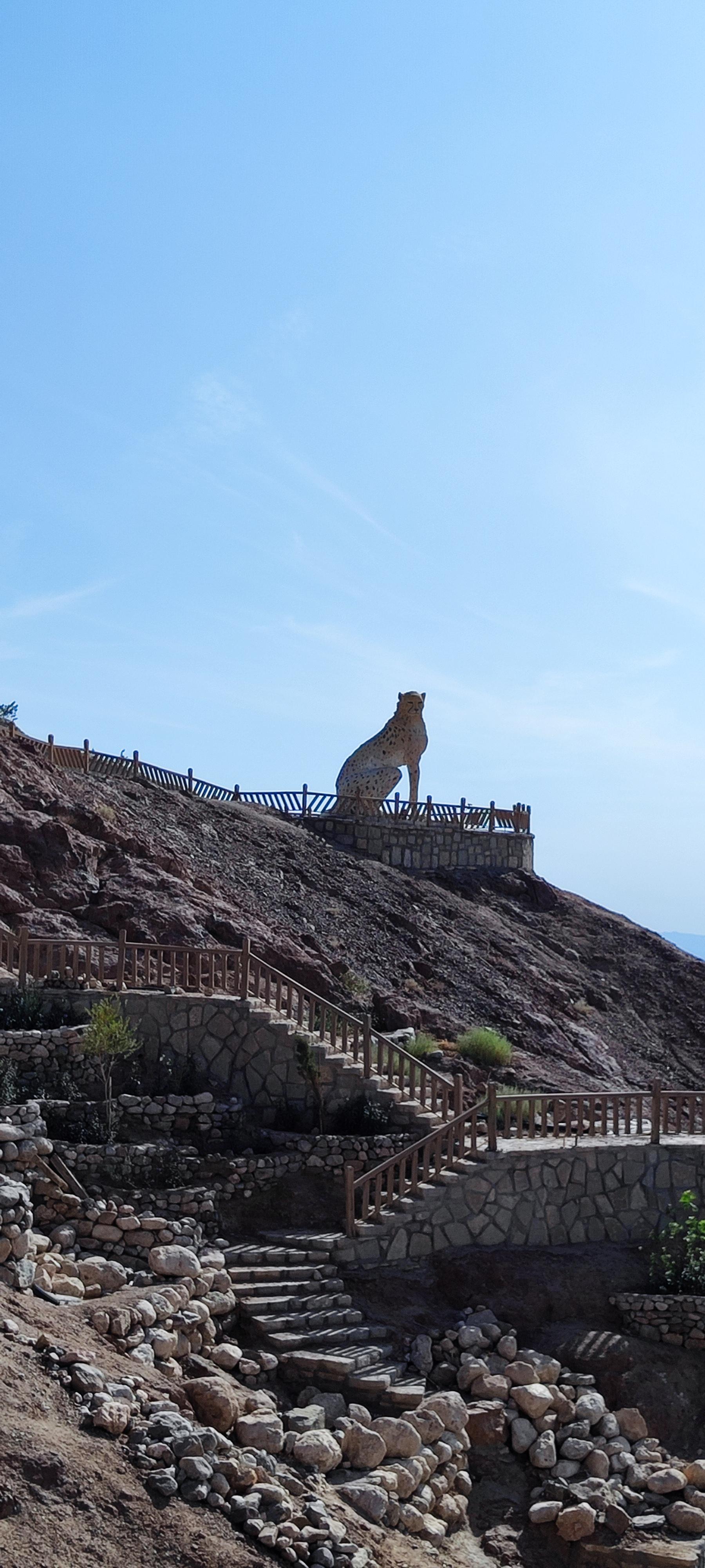 عکس مجسمه یوزپلنگ ایرانی 