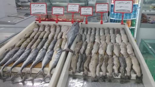 عکس مرکز گوشت مهاجر پروتوئین