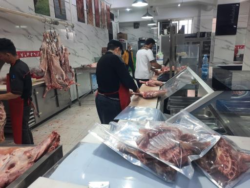 عکس مرکز گوشت مهاجر پروتوئین