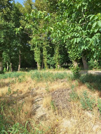 عکس باغ های سرخ حصار قلعه حسن خان