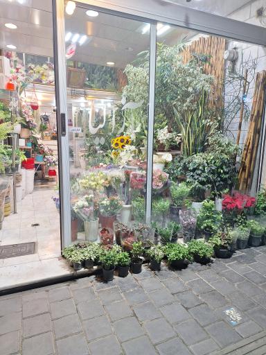 عکس گلستان آزالیا