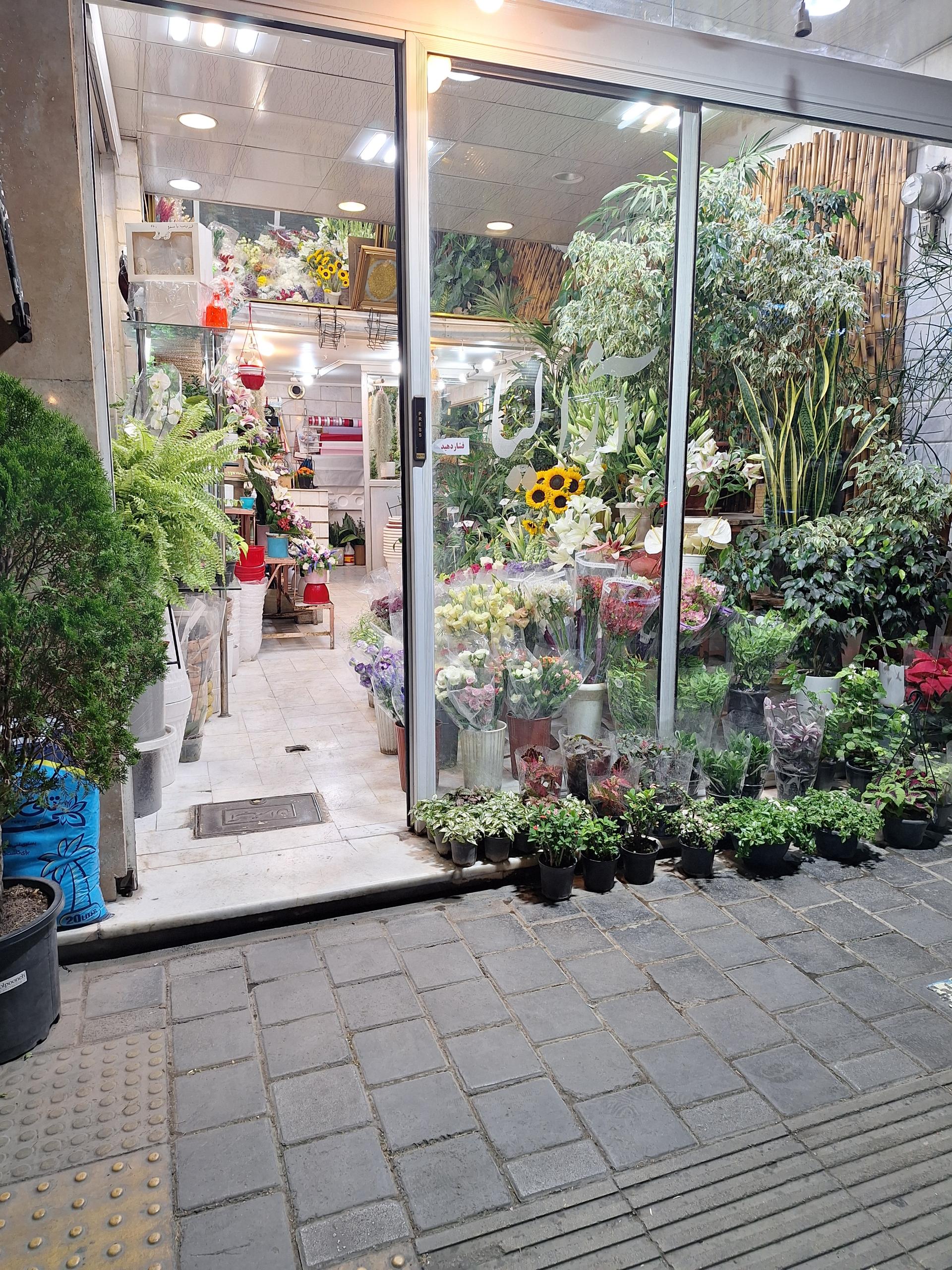 عکس گلستان آزالیا