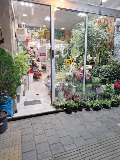 عکس گلستان آزالیا