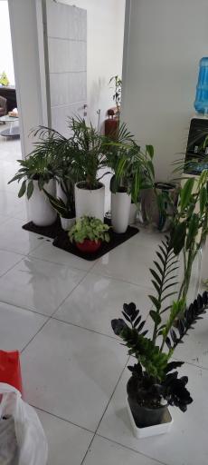 عکس آکادمی موفقیت جان آگاه