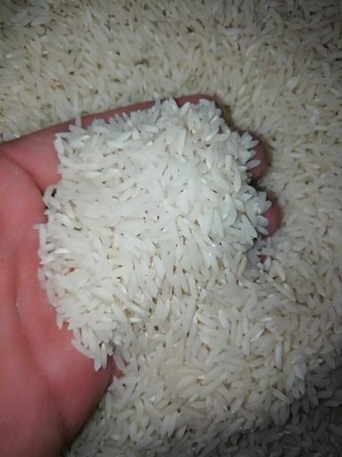 عکس بورس برنج احمدوند