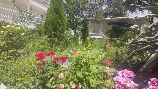 عکس آسایشگاه سالمندان طلیعه مهر