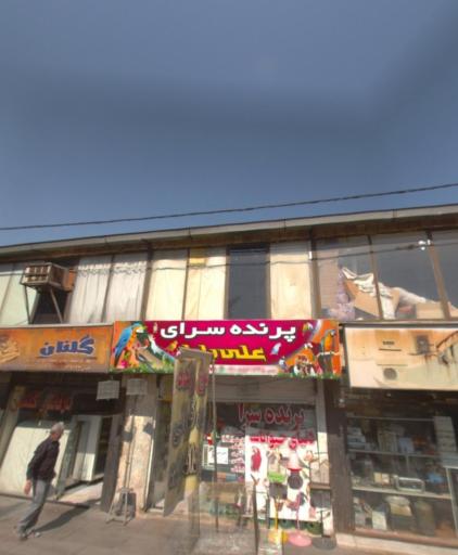 عکس پرنده سرا علی بابا
