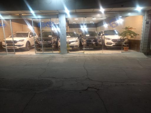 عکس اتو امیر