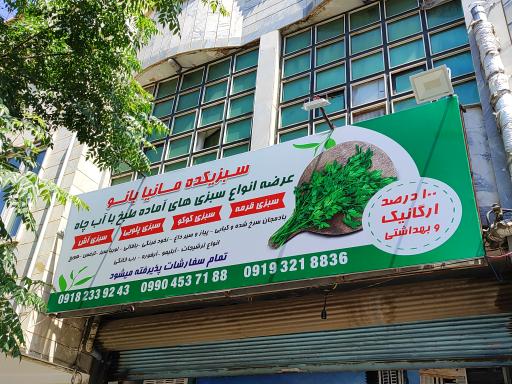 عکس سبزی خردکنی مانیا بانو