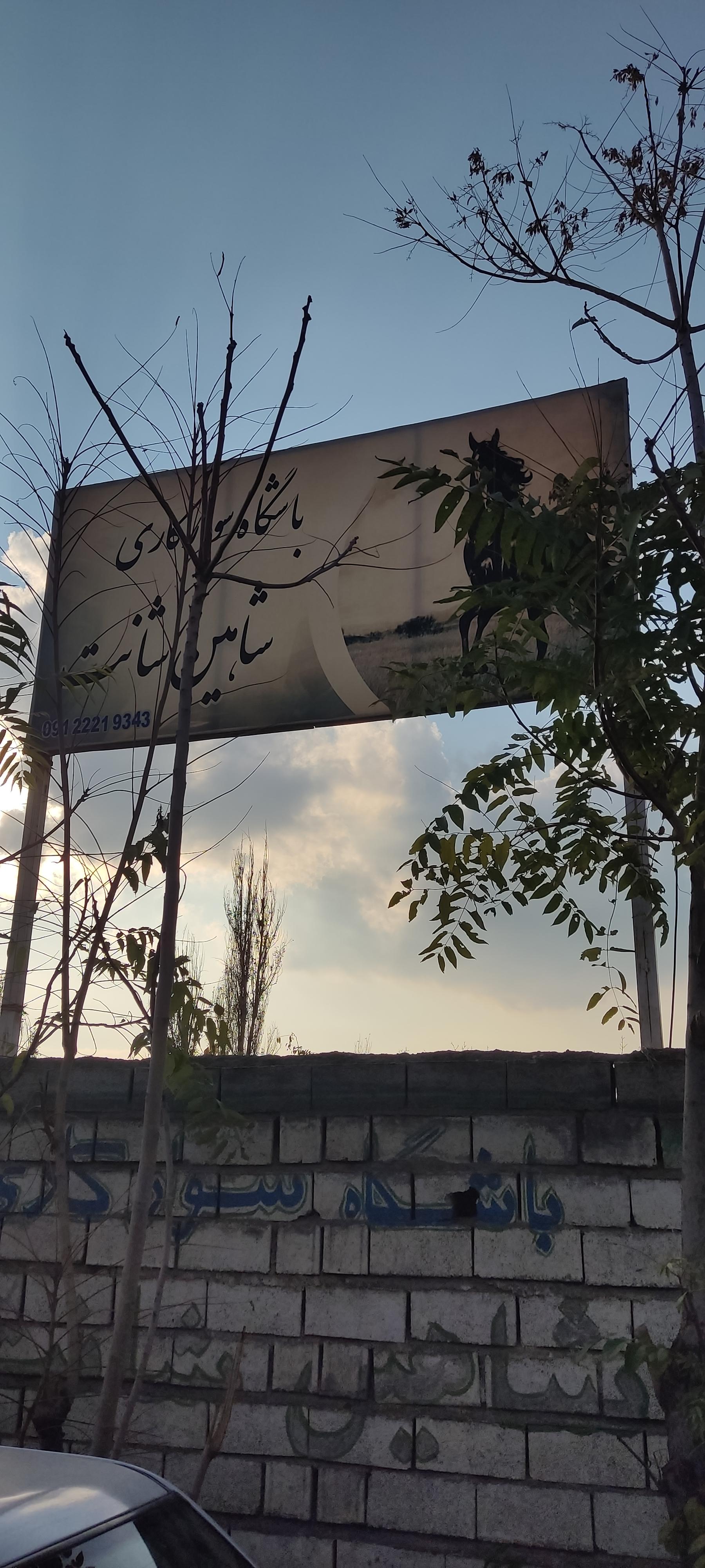 عکس باشگاه سوارکاری شاهین شانت