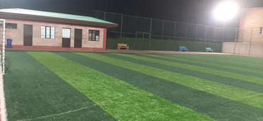 عکس زمین چمن کردامیر