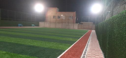 عکس زمین چمن کردامیر