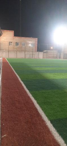 عکس زمین چمن کردامیر