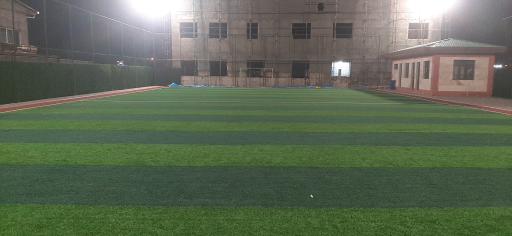 عکس زمین چمن کردامیر