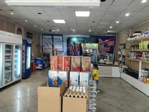 عکس پروتئین نصیر