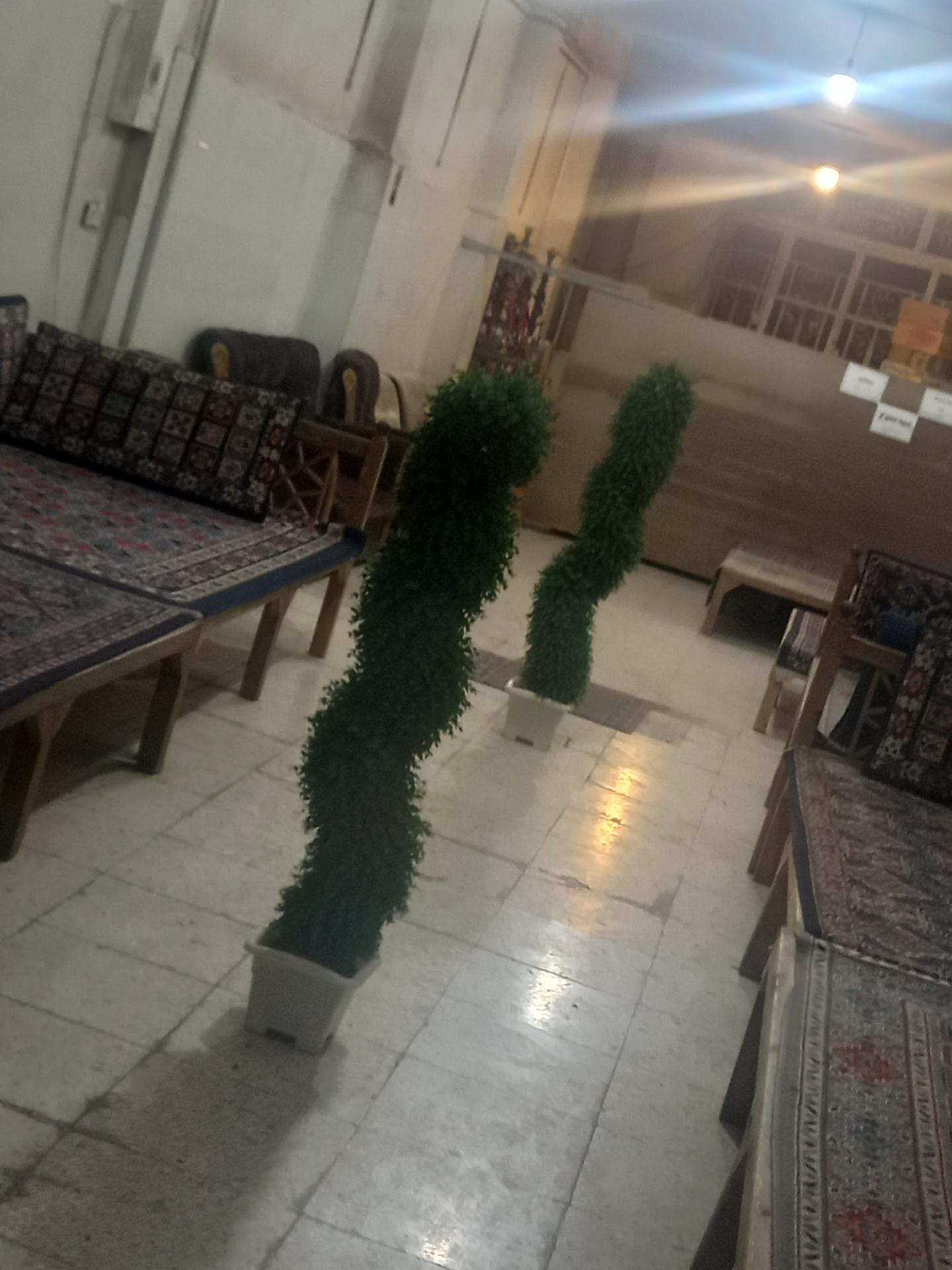 عکس قهوه خانه عمو رضا