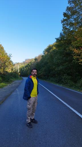 عکس جنگل توسکستان