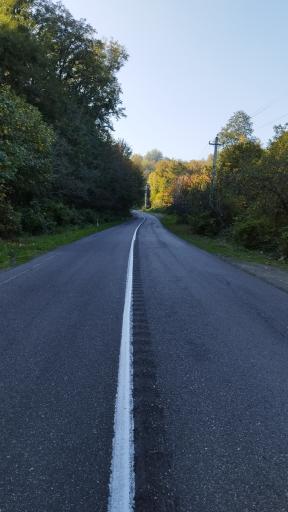 عکس جنگل توسکستان