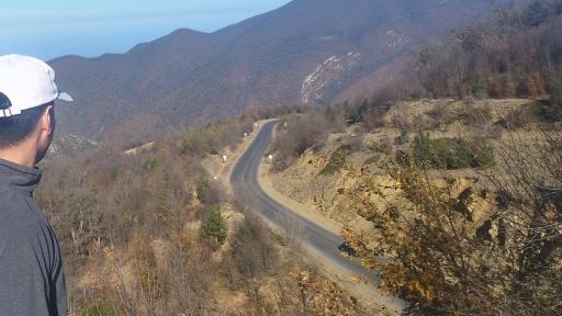 عکس جنگل توسکستان