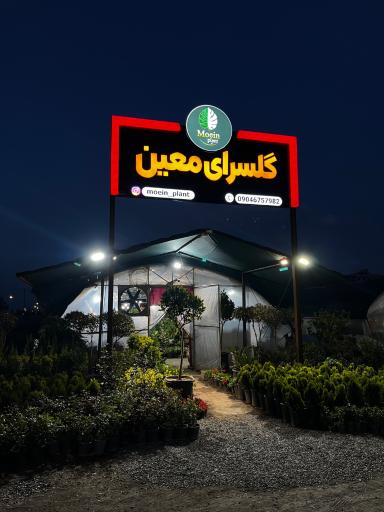گلسرای معین 