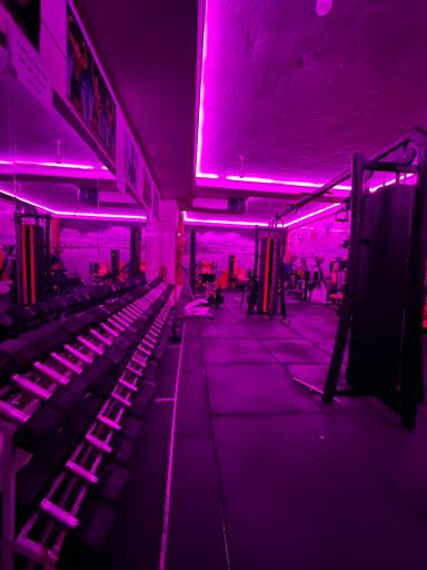 عکس باشگاه بدنسازی فیت